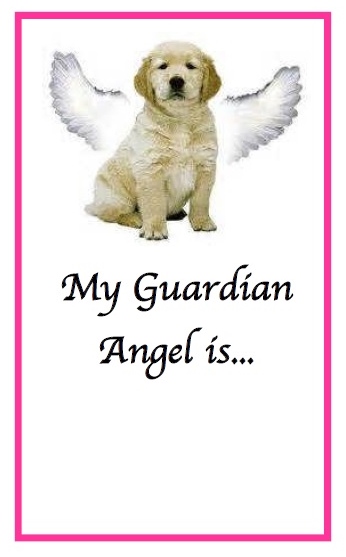 what is a guardian angel dog